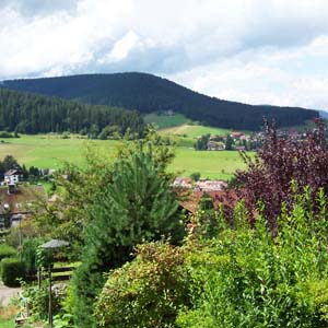 aussicht aus ferienwohnung